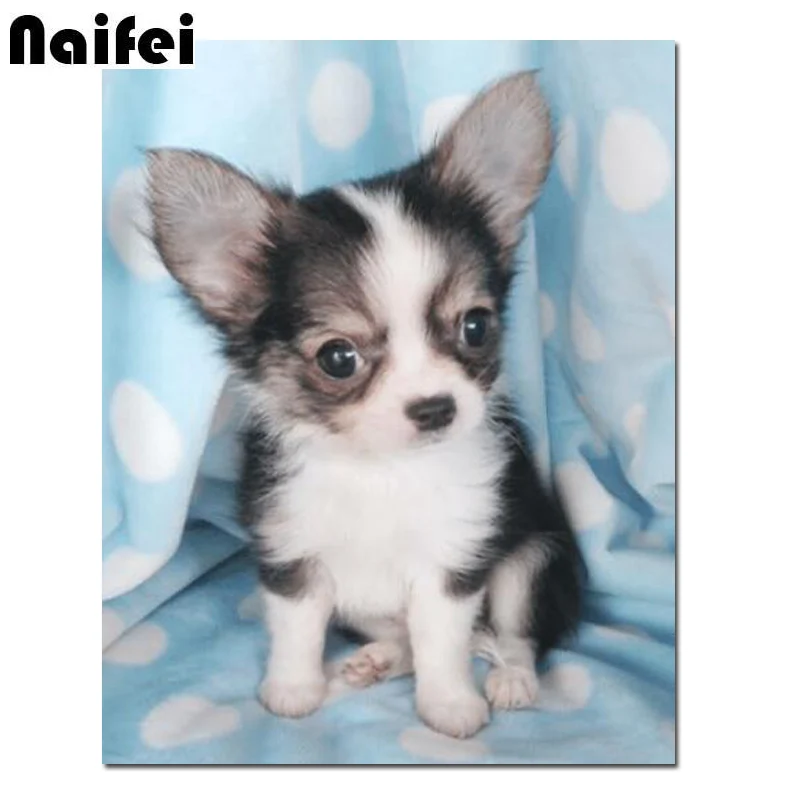5D DIY round square Diamond Embroider dog Border Collie Weiner Bernese Mountain Chihuahua Bulldog Diamond painting Home decor
5D DIY round square Diamond Embroider dog Border Collie Weiner Bernese Mountain Chihuahua Bulldog Diamond painting Home decor