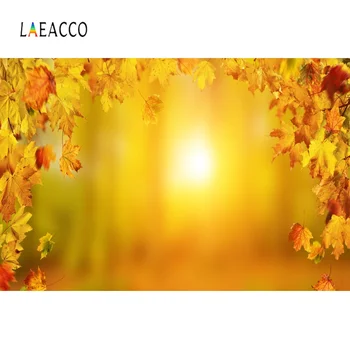 Laeacco Photographic Backgrounds Autumn Maple Yellow Light Bokeh Party Baby Scenic Photography Backdrops Photocall Photo Studio
Laeacco Photographic Backgrounds Autumn Maple Yellow Light Bokeh Party Baby Scenic Photography Backdrops Photocall Photo Studio