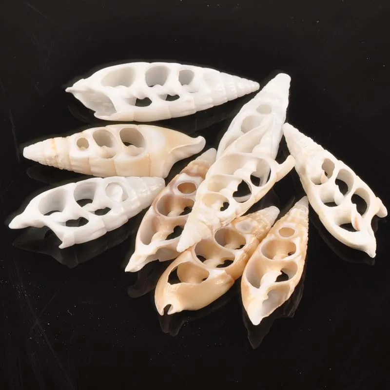 42-55mm Natural trilateral pattern Hollow Out Shell for DIY handmade pendant SeaShells Home decoration 10pcs TR0133
42-55mm Natural trilateral pattern Hollow Out Shell for DIY handmade pendant SeaShells Home decoration 10pcs TR0133