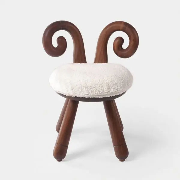 Kid sheep Ch