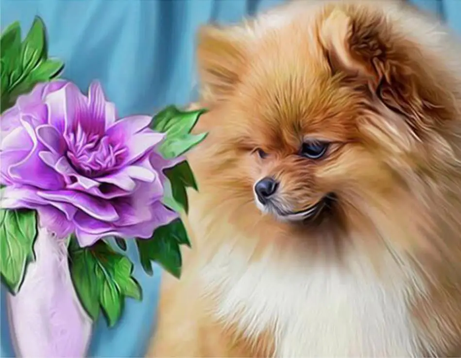 Beads embroidery SALE dog diamond painting Pomeranian cross-stitch mosaic picture of rhinestones home decoration Arts and crafts
Beads embroidery SALE dog diamond painting Pomeranian cross-stitch mosaic picture of rhinestones home decoration Arts and crafts