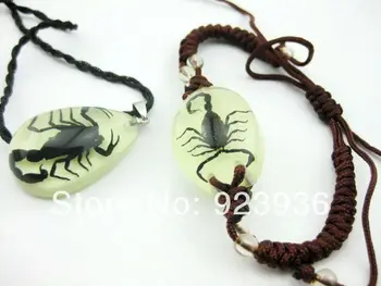 FREE SHIPPING 6 SET Hot Sale Real Black Scorpion Resin Bracelet Bangle Necklace Pendant Trendy Glow In Dark Party Gift Present
FREE SHIPPING 6 SET Hot Sale Real Black Scorpion Resin Bracelet Bangle Necklace Pendant Trendy Glow In Dark Party Gift Present