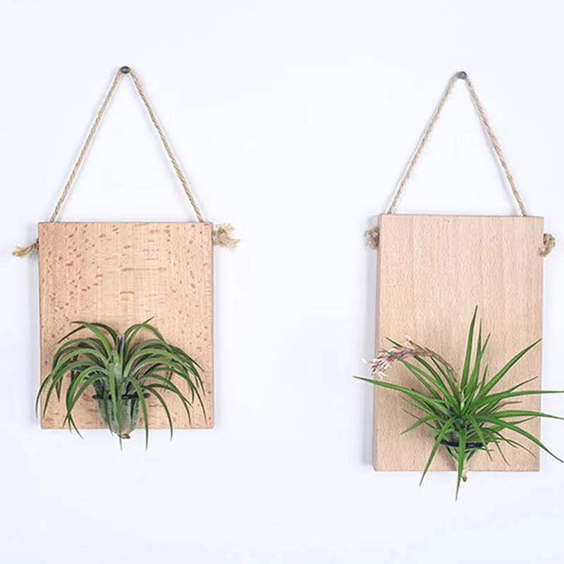 Creative New Air Pineapple Accessories Base Wall Pot Flower Stand High Quality Plant Board Shelf Send Lead Wire
Creative New Air Pineapple Accessories Base Wall Pot Flower Stand High Quality Plant Board Shelf Send Lead Wire