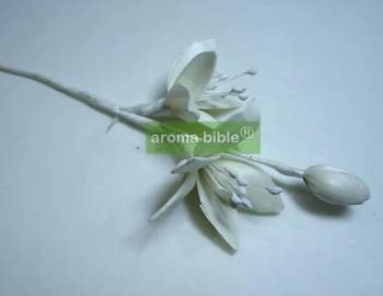 1000 pcs /lot Handmade sola wood flowers for fragrance diffuser and home decor with 12cm Rope or rattan reed sticks Top quality
1000 pcs /lot Handmade sola wood flowers for fragrance diffuser and home decor with 12cm Rope or rattan reed sticks Top quality