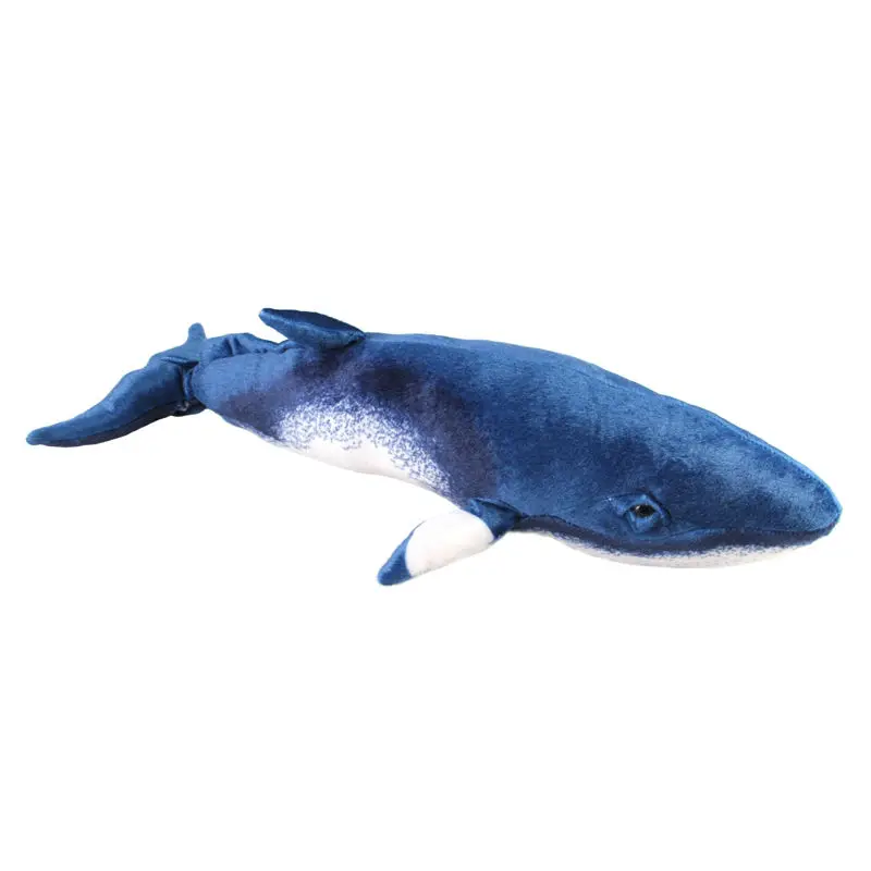 Minke Whale 55cm Plush Toys Dolls large long Pillow Seat Cushion Backrest the stuffed toys for children doll toy Christmas gifts
Minke Whale 55cm Plush Toys Dolls large long Pillow Seat Cushion Backrest the stuffed toys for children doll toy Christmas gifts
