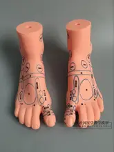 20*12cm left/right feet model Foot reflex zones massage Acupuncture points moxibustion
20*12cm left/right feet model Foot reflex zones massage Acupuncture points moxibustion