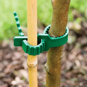 10pcs/set Adjustable Plastic Plant Cable Ties Reusable Self Locking Plant Cable Ties for Garden Tree Climbing Support
10pcs/set Adjustable Plastic Plant Cable Ties Reusable Self Locking Plant Cable Ties for Garden Tree Climbing Support