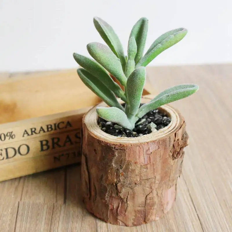 Artificial Succulents Plants Woody Potted Plant Home Desk Table