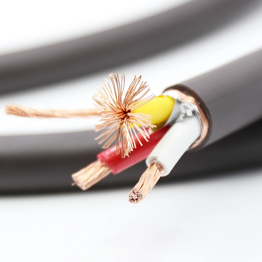 High Quality Viborg Pcs VP1606 Pure Copper 5N OFC 6mm Square Each Conductor AC Power Cable for Hifi Audio Cable
High Quality Viborg Pcs VP1606 Pure Copper 5N OFC 6mm Square Each Conductor AC Power Cable for Hifi Audio Cable