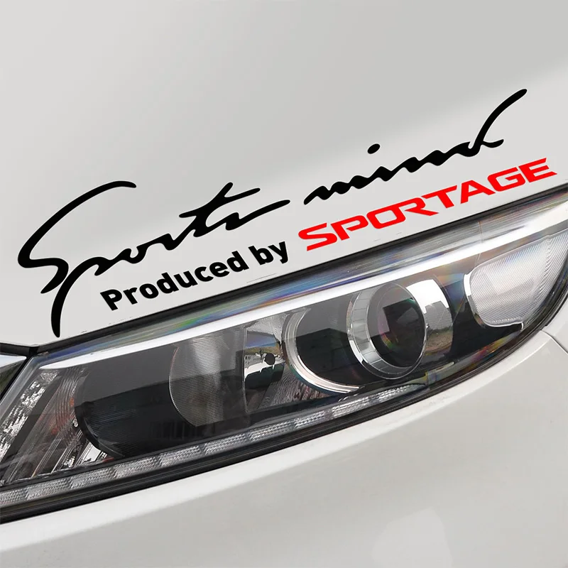 10 Pieces Customizable Sport Car Covers Stickers Decal Car Styling On Car Lamp Eyebrow For sportage car accessories
10 Pieces Customizable Sport Car Covers Stickers Decal Car Styling On Car Lamp Eyebrow For sportage car accessories