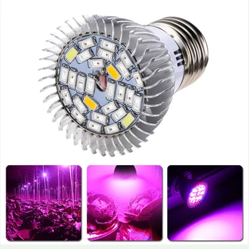 10W 28LEDS LED Grow Light Full Spectrum E27 Indoor Plant Lamp for Flowering Hydroponics System Garden
10W 28LEDS LED Grow Light Full Spectrum E27 Indoor Plant Lamp for Flowering Hydroponics System Garden