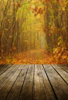 HUAYI Autumn Scenery Maple Leaves Art fabric Photography Children Backdrop Portrait Photo Newborns Background XT-4722
HUAYI Autumn Scenery Maple Leaves Art fabric Photography Children Backdrop Portrait Photo Newborns Background XT-4722