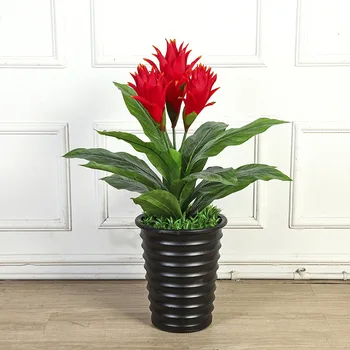 Large Greenery 80cm Plastic good luck mini Tree without pot fake Plants Indoor Living Room Home Decoration house plants bonsai
Large Greenery 80cm Plastic good luck mini Tree without pot fake Plants Indoor Living Room Home Decoration house plants bonsai