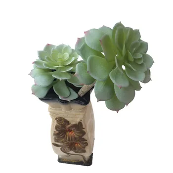 NuoNuoWell 1X NEW Artificial Flowers/Plants Succulent Pick 2 Heads 30cm Green Red Gray Available
NuoNuoWell 1X NEW Artificial Flowers/Plants Succulent Pick 2 Heads 30cm Green Red Gray Available