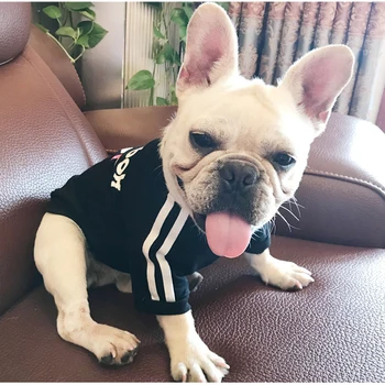Pet Sweatshirt For Dog Hoody Clothes For Yorkies Puppy T-shirt Dog Clothes For Small Dogs Clothes For Bulldogs Soccer Jerseys
Pet Sweatshirt For Dog Hoody Clothes For Yorkies Puppy T-shirt Dog Clothes For Small Dogs Clothes For Bulldogs Soccer Jerseys