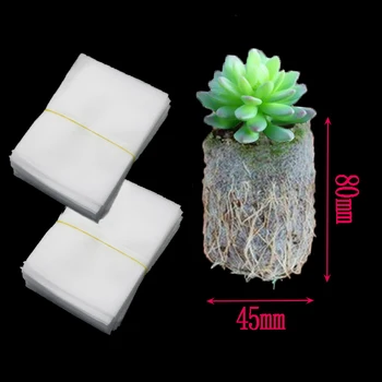 50pcs Environmental Degradation Portable Cellular Alternative Non-woven Bags Nursery Seedling Nursery Bags Container Bags
50pcs Environmental Degradation Portable Cellular Alternative Non-woven Bags Nursery Seedling Nursery Bags Container Bags