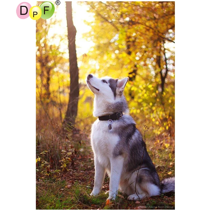 DPF DIY Forest dogs 5D home decor diamond mosaic full square diamond embroidery needlework crafts diamond painting cross stitch
DPF DIY Forest dogs 5D home decor diamond mosaic full square diamond embroidery needlework crafts diamond painting cross stitch