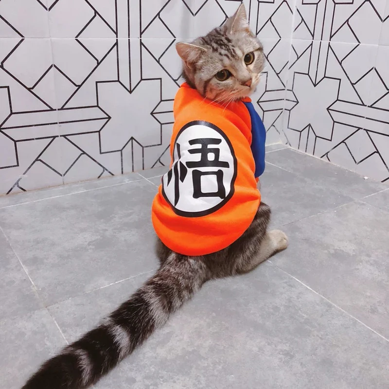 Cartoon Cat Clothes Winter Warm Soft Pet Cat Sweater Clothing for Small Cats Kitten Costumes Pets Dog Clothes 8 Colors XS-XXL
Cartoon Cat Clothes Winter Warm Soft Pet Cat Sweater Clothing for Small Cats Kitten Costumes Pets Dog Clothes 8 Colors XS-XXL