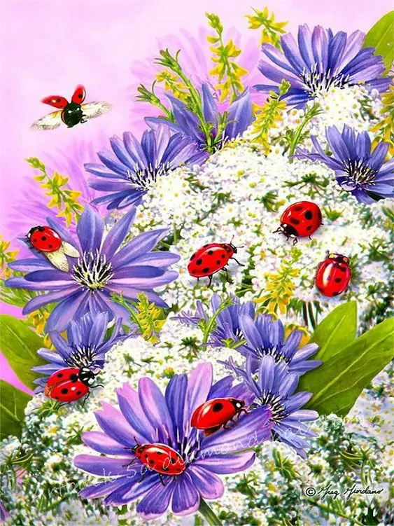 Full square / round drill diamond painting ladybug purple flowers 3d diamond embroidery insect 5D mosaic
Full square / round drill diamond painting ladybug purple flowers 3d diamond embroidery insect 5D mosaic
