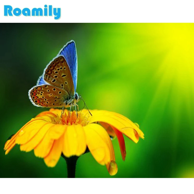 5D Diy Daimond Painting,Butterfly on The Yellow Flowers,Embroidered with Rhinestones,Green Diamond Painting,Room Decoration
5D Diy Daimond Painting,Butterfly on The Yellow Flowers,Embroidered with Rhinestones,Green Diamond Painting,Room Decoration
