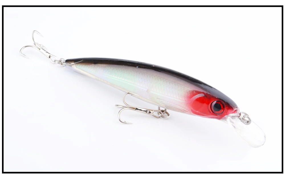 minnow1_15