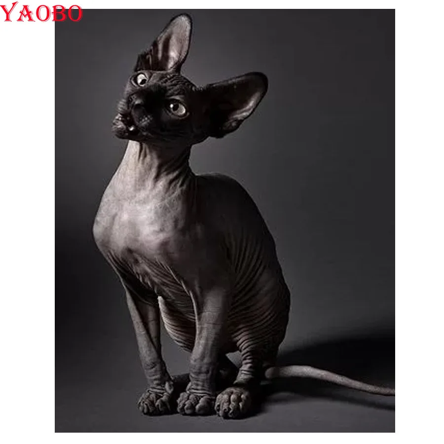 Black Cat 3d diy diamond embroidery full square Animal Sphynx 5d diamond painting crosss stitch mosaic Baby Kids room Decor gift
Black Cat 3d diy diamond embroidery full square Animal Sphynx 5d diamond painting crosss stitch mosaic Baby Kids room Decor gift