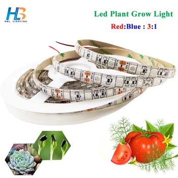 Led Plant Grow light 5050 Grow Light 5 M Non Waterproof 12 V 3 Red 1 Blue for Greenhouse Hydroponic Plant LED Strip led tape
Led Plant Grow light 5050 Grow Light 5 M Non Waterproof 12 V 3 Red 1 Blue for Greenhouse Hydroponic Plant LED Strip led tape