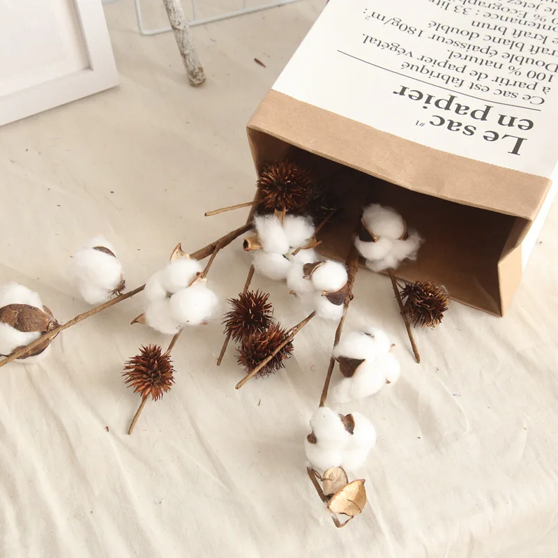 3pcs/lot simulation 4 cotton branch plants dried flowers home decoration wedding road lead flower artificial cotton branch
3pcs/lot simulation 4 cotton branch plants dried flowers home decoration wedding road lead flower artificial cotton branch
