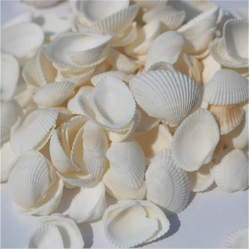 500G/Lot 2-3.5cm Nature White Shell Wedding Decoration Party decoration Casamento Party Supplies Beach Theme
500G/Lot 2-3.5cm Nature White Shell Wedding Decoration Party decoration Casamento Party Supplies Beach Theme