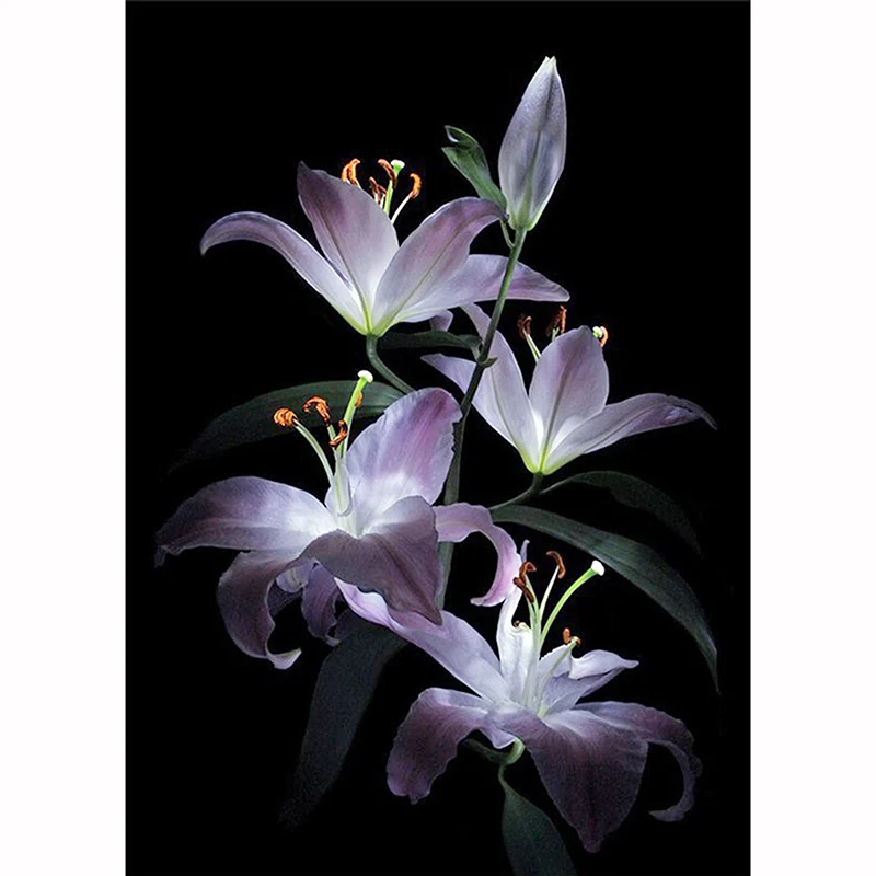 Flower Arrangement 5D DIY Diamond Painting Cordate Telosma Flower Cross Stitch Diamond Embroidery Diamond Wall Painting
Flower Arrangement 5D DIY Diamond Painting Cordate Telosma Flower Cross Stitch Diamond Embroidery Diamond Wall Painting
