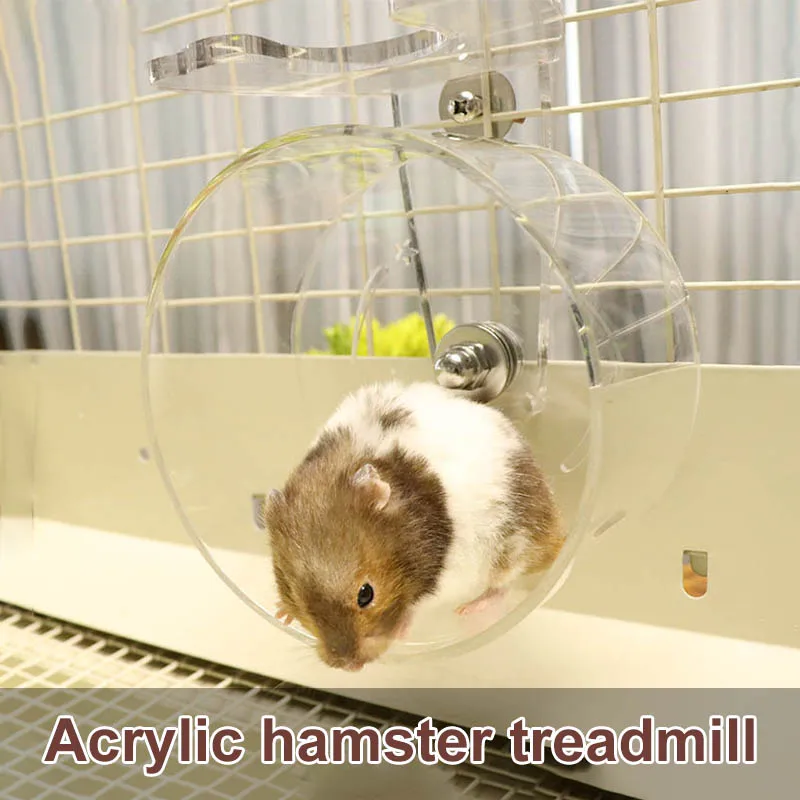 Acrylic Hamster Running Wheel Transparent Mute Sleek Running Wheels for Small Animals @LS
Acrylic Hamster Running Wheel Transparent Mute Sleek Running Wheels for Small Animals @LS