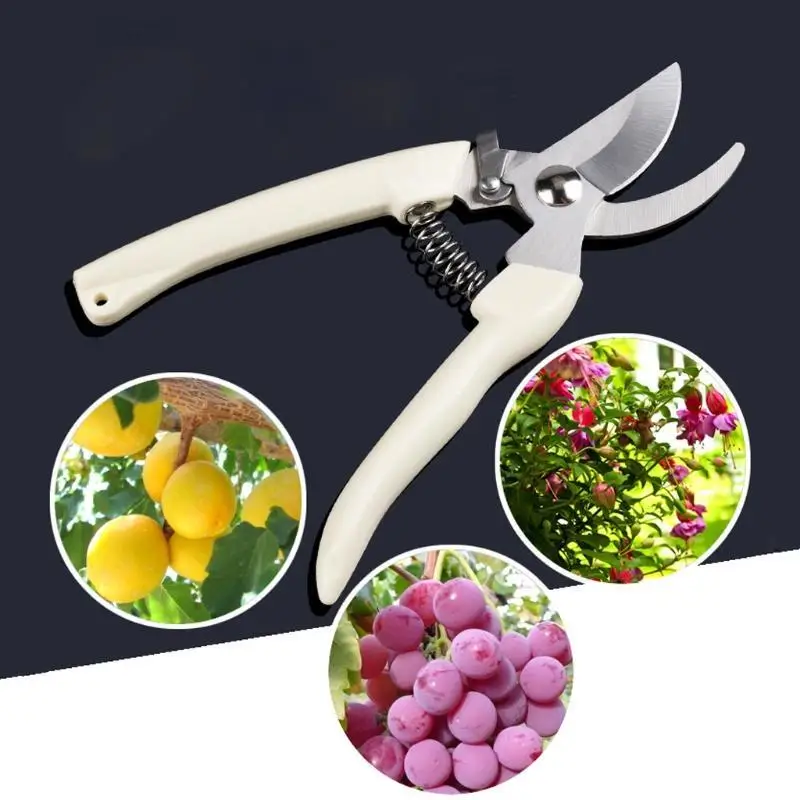 Free shipping Garden Scissors Grafting Tool Fruit Tree Pruning Shears Bonsai Pruners Garden Shears Gardening Secateurs Scissor
Free shipping Garden Scissors Grafting Tool Fruit Tree Pruning Shears Bonsai Pruners Garden Shears Gardening Secateurs Scissor