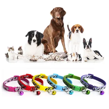 1PC Hot Delicate Safety Casual Nylon Dog Collar Neck Strap Fashion Adjustable Camo Bell Pet Dog Collar
1PC Hot Delicate Safety Casual Nylon Dog Collar Neck Strap Fashion Adjustable Camo Bell Pet Dog Collar