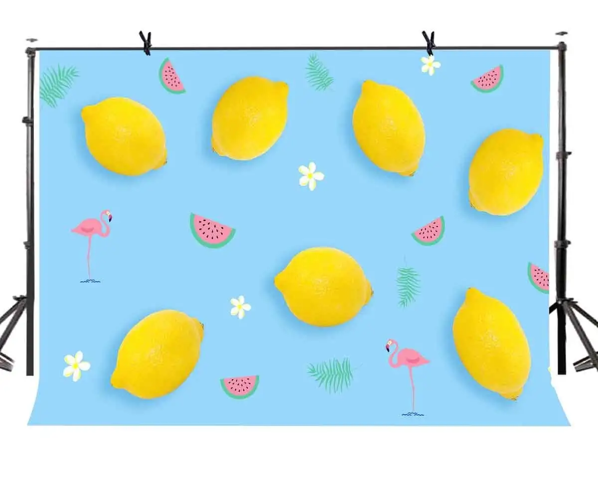 7x5ft Light Blue Backdrop Shallow Blue Fruit Minimalistic Photography Background and Studio Photography Backdrop Props
7x5ft Light Blue Backdrop Shallow Blue Fruit Minimalistic Photography Background and Studio Photography Backdrop Props