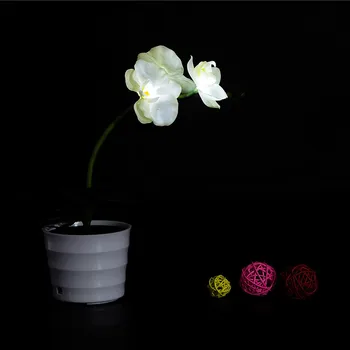 Solar Power LED Party Romantic Artificial Butterfly Orchild Fake Flowers Pot Lamp Bonsai Office Garden Decoration Desktop Maceta 
Solar Power LED Party Romantic Artificial Butterfly Orchild Fake Flowers Pot Lamp Bonsai Office Garden Decoration Desktop Maceta