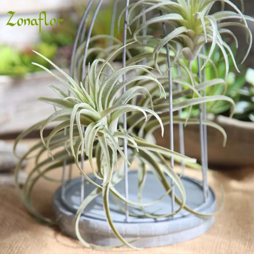 Zonaflor Artificial Flower Air Pineapple Grass 1PC Fake Flower For Wedding Decoration Garden Plant Home Decoration Accessories
Zonaflor Artificial Flower Air Pineapple Grass 1PC Fake Flower For Wedding Decoration Garden Plant Home Decoration Accessories
