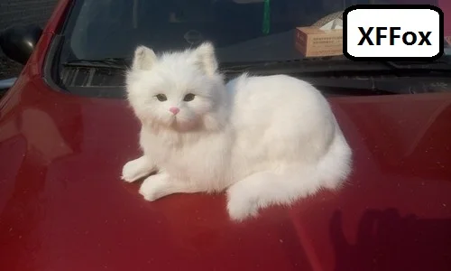 big real life white cat model plastic&furs cute lying cat doll gift about 30x16x16cm xf1393
big real life white cat model plastic&furs cute lying cat doll gift about 30x16x16cm xf1393