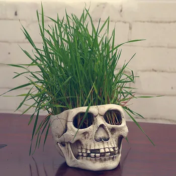 Resin Flowerpot Plant Pot Halloween Horror Scene Decoration Skull Head Flower Pots Movie Props Model Garden Supplies
Resin Flowerpot Plant Pot Halloween Horror Scene Decoration Skull Head Flower Pots Movie Props Model Garden Supplies