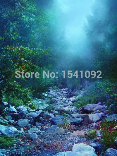 10x10ft Customize free shipping Thin vinyl cloth photography backdrop scenery computer Printing background for photo studio f166
10x10ft Customize free shipping Thin vinyl cloth photography backdrop scenery computer Printing background for photo studio f166