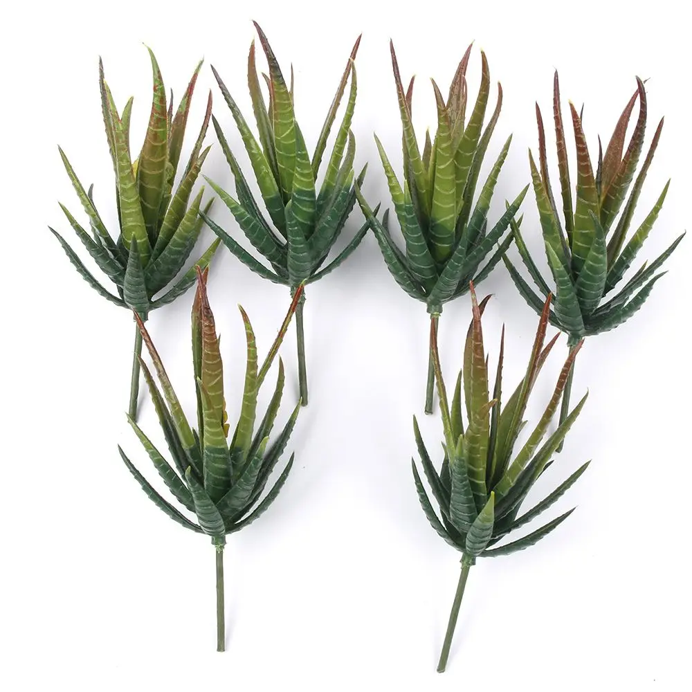 Assorted Realistic Green Faux Artificial Succulent Plants Aloe Foliage Fake Plastic Green Cactus Home Garden Decoration Hot Sale
Assorted Realistic Green Faux Artificial Succulent Plants Aloe Foliage Fake Plastic Green Cactus Home Garden Decoration Hot Sale