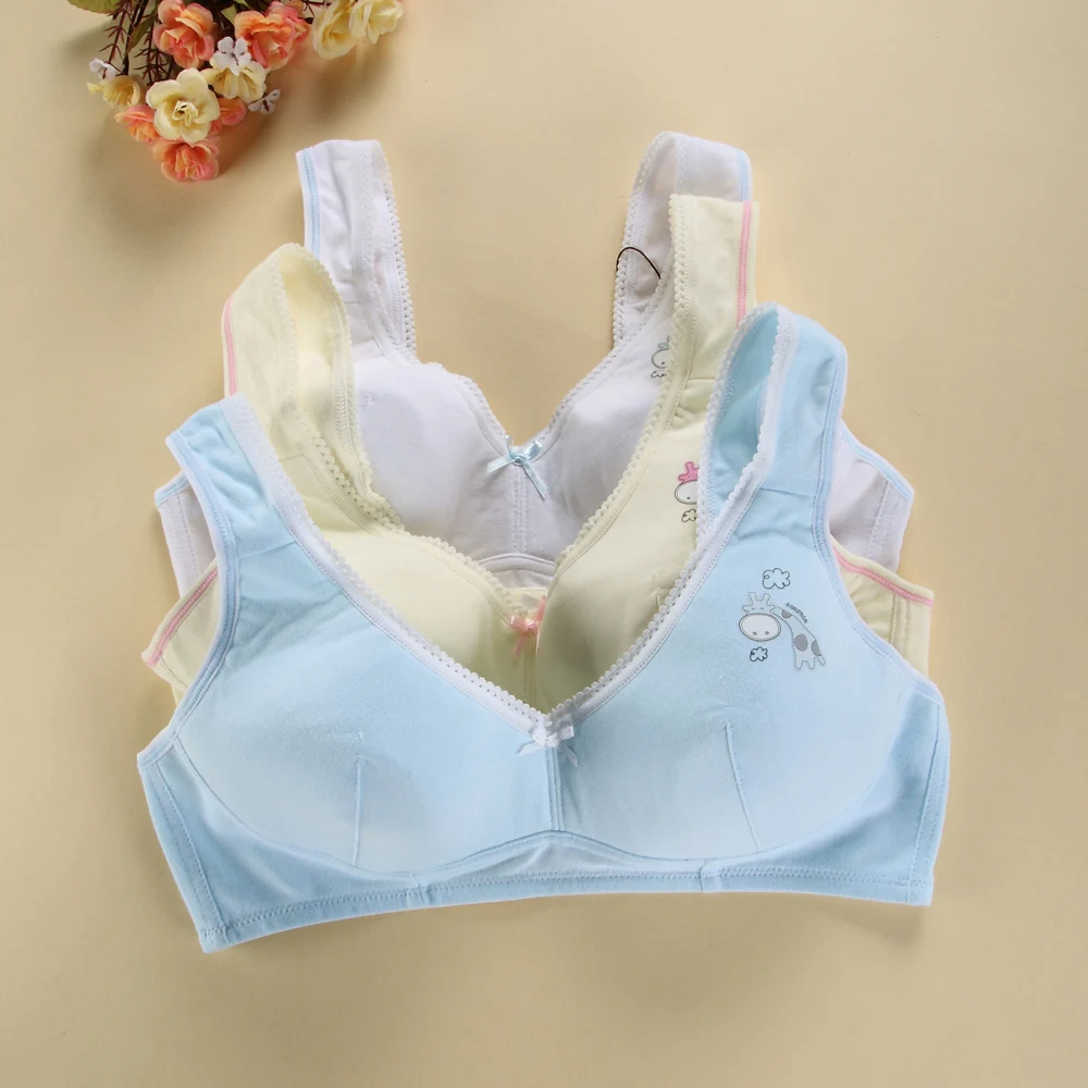 High Quality Young Girl Bra Cotton Underwear Small Training Bra Breathable Cartoon Lace Teen Bra Lingerie For KidsSN0051
High Quality Young Girl Bra Cotton Underwear Small Training Bra Breathable Cartoon Lace Teen Bra Lingerie For KidsSN0051