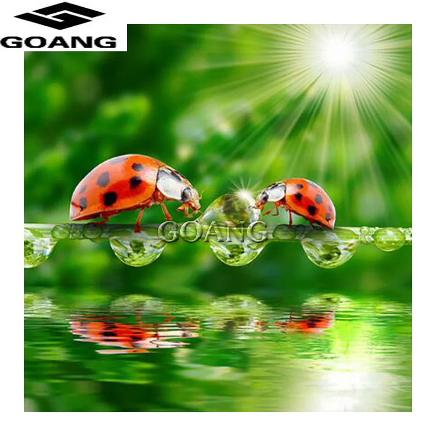 diamond embroidery animals full Square diamond mosaic Cross Stitch diamond painting wall sticker coccinella septempunctata
diamond embroidery animals full Square diamond mosaic Cross Stitch diamond painting wall sticker coccinella septempunctata