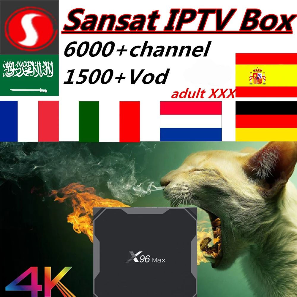 X96Max Smart TV BOX Android 8.1 iptv box with 1 Year Spanish French Portuguese USA UK IPTV Subscription 6000 Live Adult channel
X96Max Smart TV BOX Android 8.1 iptv box with 1 Year Spanish French Portuguese USA UK IPTV Subscription 6000 Live Adult channel