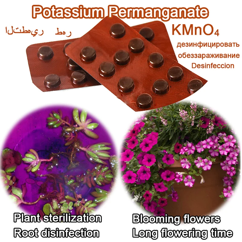 24 Pieces Potassium Permanganate Sheet KMnO4 Bonsai Plant Rooting Seed Aquarium Body Sterilization Home Disinfection Doctor Drug
24 Pieces Potassium Permanganate Sheet KMnO4 Bonsai Plant Rooting Seed Aquarium Body Sterilization Home Disinfection Doctor Drug