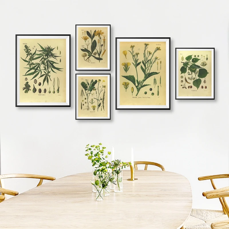 Vintage Botany Prints Mustard Poster 1887 Medicinal Plants Encyclopedia Educational Picture Canvas Painting Kitchen Wall Decor
Vintage Botany Prints Mustard Poster 1887 Medicinal Plants Encyclopedia Educational Picture Canvas Painting Kitchen Wall Decor