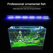 green lamp promotion shop