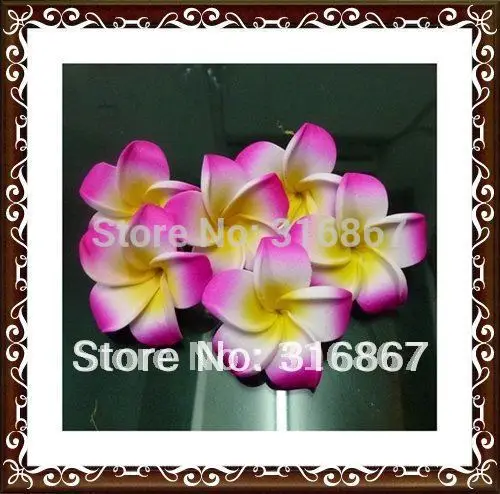 100X fuschia Plumeria flowers Hawaiian Foam Frangipani Flowers wedding party decor 4.8cm
100X fuschia Plumeria flowers Hawaiian Foam Frangipani Flowers wedding party decor 4.8cm