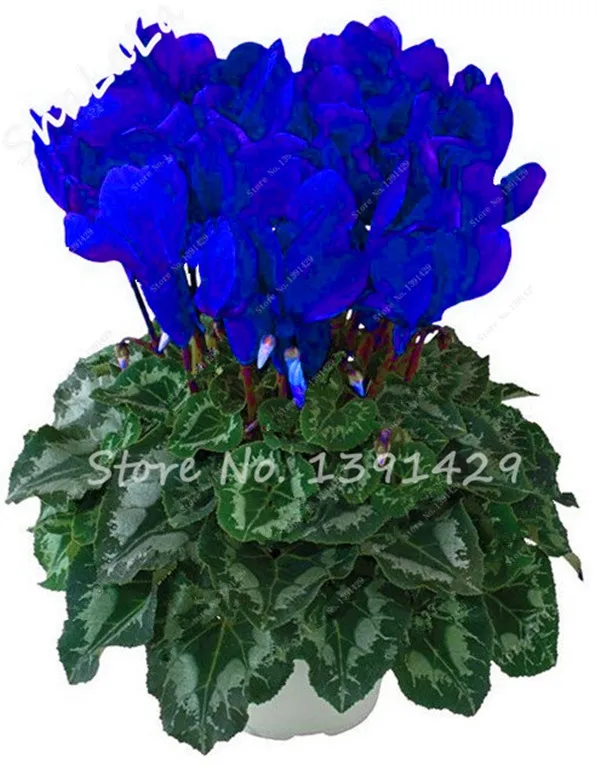 88B261FD2D3A0F25D9CC698106184FA7