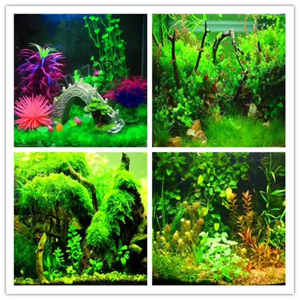 100pcs/bag aquarium plant bonsai Water Grasses Random Aquatic Plant Grass garden Indoor fish tank Beautifying Plant flores
100pcs/bag aquarium plant bonsai Water Grasses Random Aquatic Plant Grass garden Indoor fish tank Beautifying Plant flores