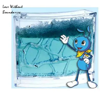 Authentic large ants workshop ecological toys The ant workshops home The ant nest without ant 106 g
Authentic large ants workshop ecological toys The ant workshops home The ant nest without ant 106 g
